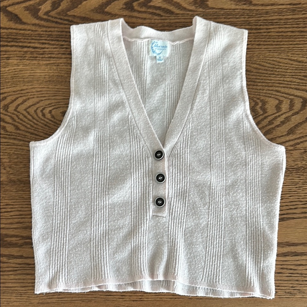Sweater vest blue rain x Francesca’s